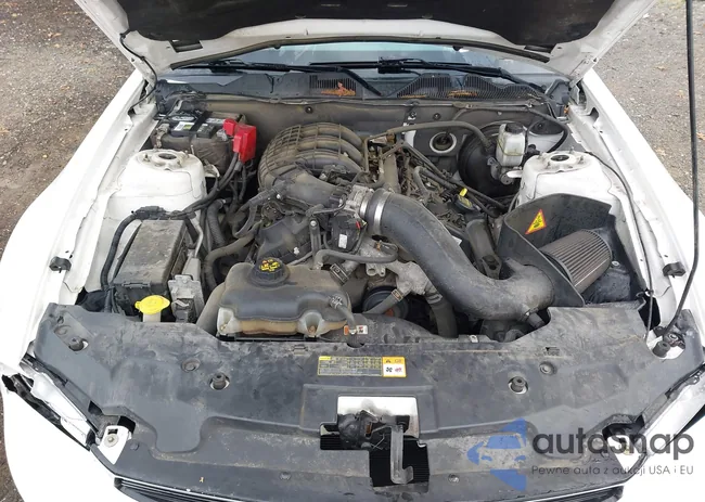 1ZVBP8AMXC5246806: 43272652