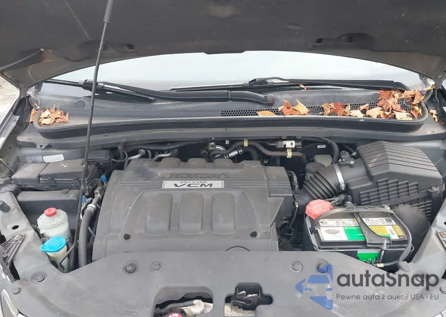 5FNRL3H62AB052919: 43275081