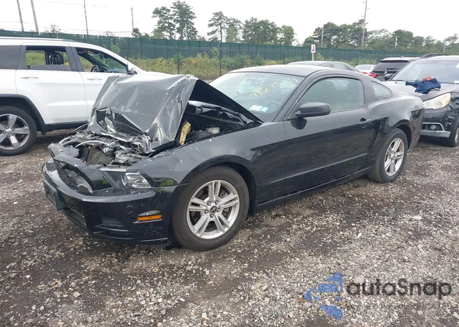 1ZVBP8AM3E5214234: 43275131