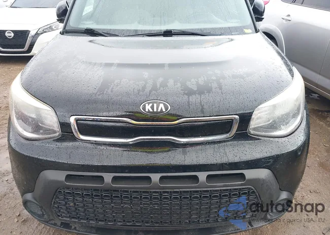 KNDJP3A53E7104203: 43275282