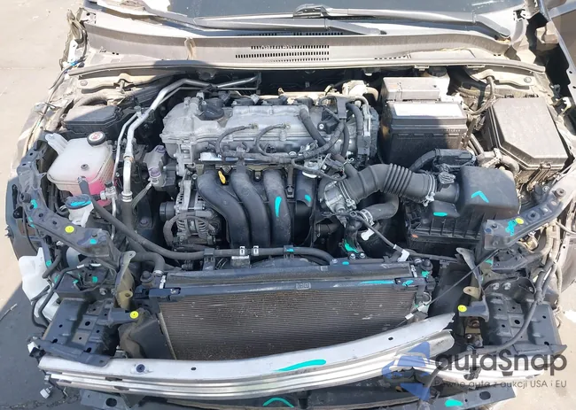 5YFEPRAEXLP056960: 43279151