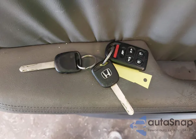 5FNRL38719B020824: 43282190