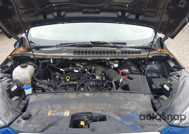 2FMPK4G9XNBA24800: 43282229