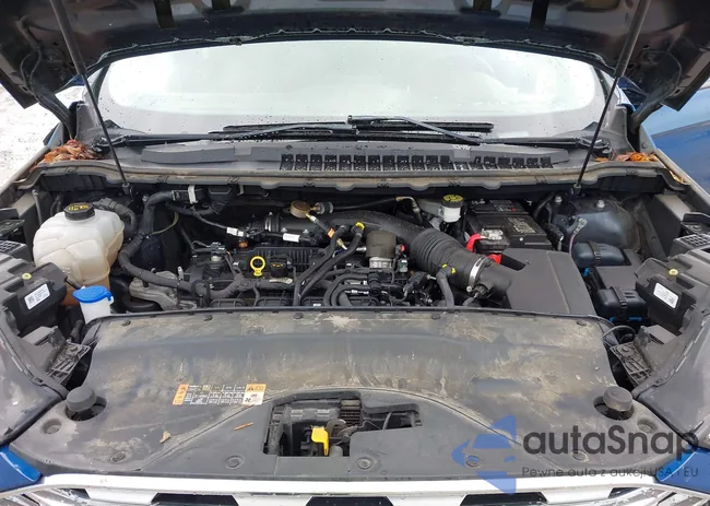 2FMPK4G9XNBA24800: 43282229