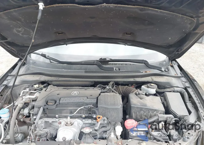 19UDE2F72KA013463: 43282347