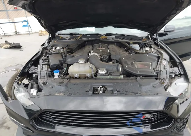 1FA6P8CFXM5136459: 43281432