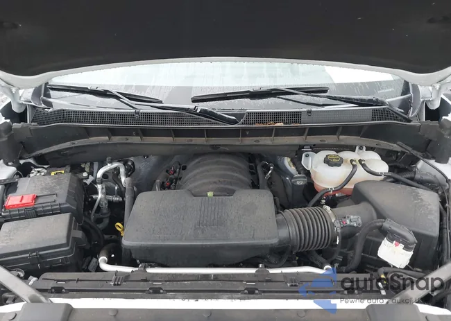 2GCPACED2S1119331: 43281717