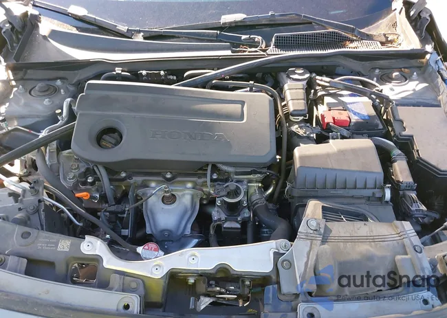 2HGFE2F56SH505065: 43282843