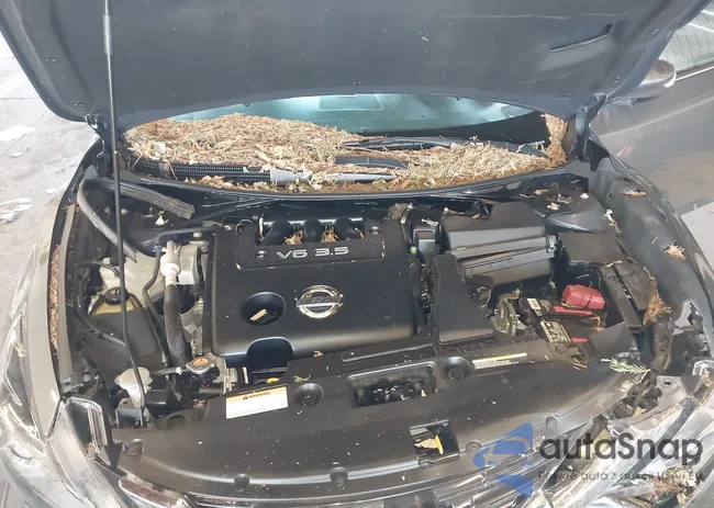 1N4BL3AP9HC294687: 43283122