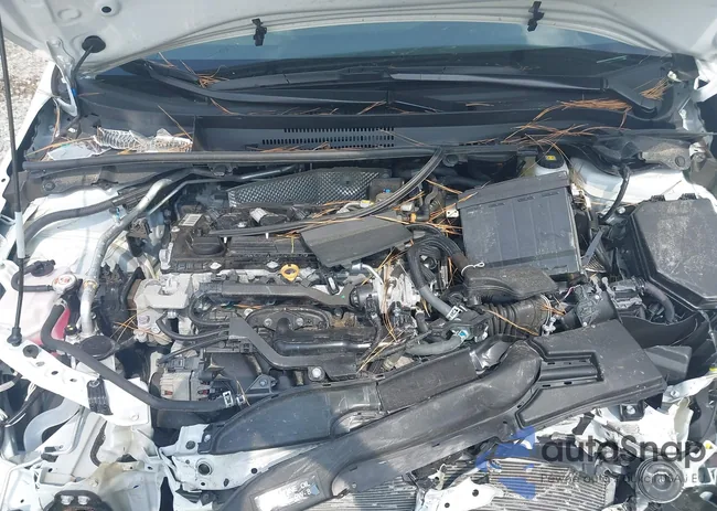 5YFB4MDEXSP239591: 43282624