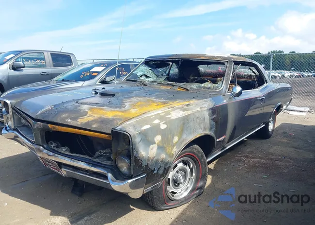 242176P219158: 43286064