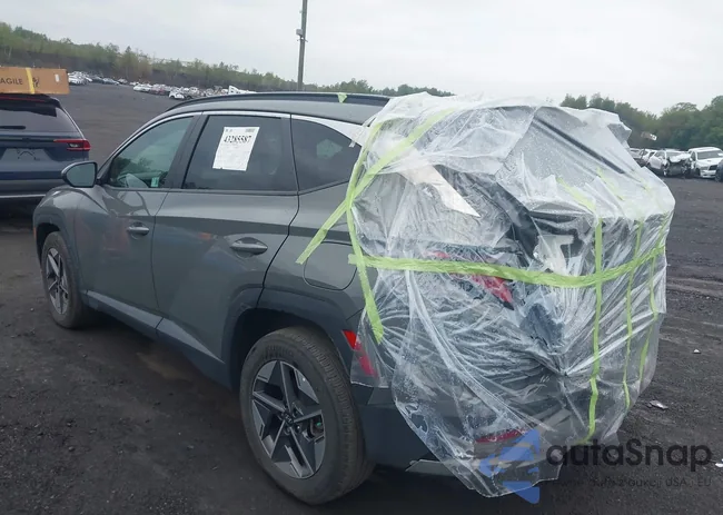 5NMJBCDE3SH460763: 43285587