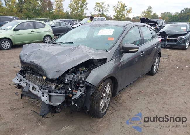 1FADP3K20FL264121: 43286849