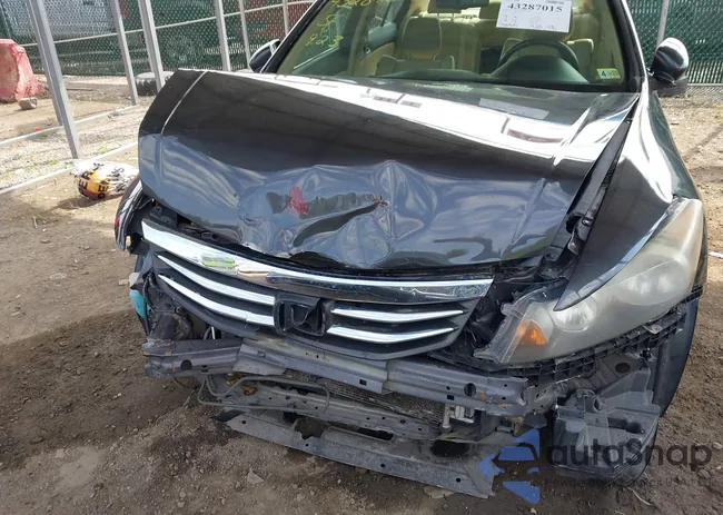 1HGCP2F8XBA026959: 43287015