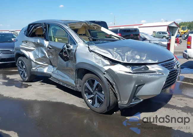 JTJGARBZ9M2195101: 43287242