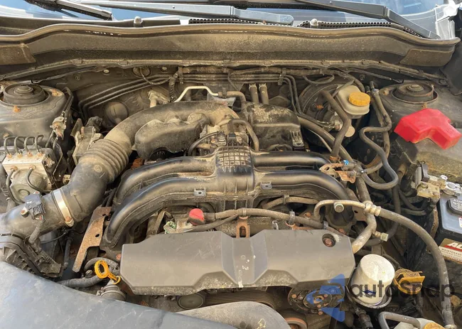 JF2SJABC9GH553570: 43288262