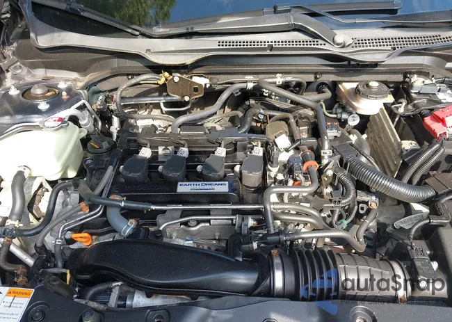 19XFC1F31HE206844: 43288969