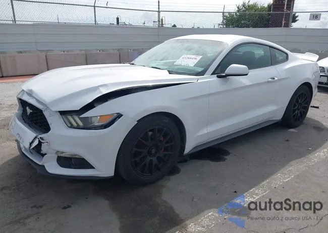 1FA6P8AM9F5372184: 43288456