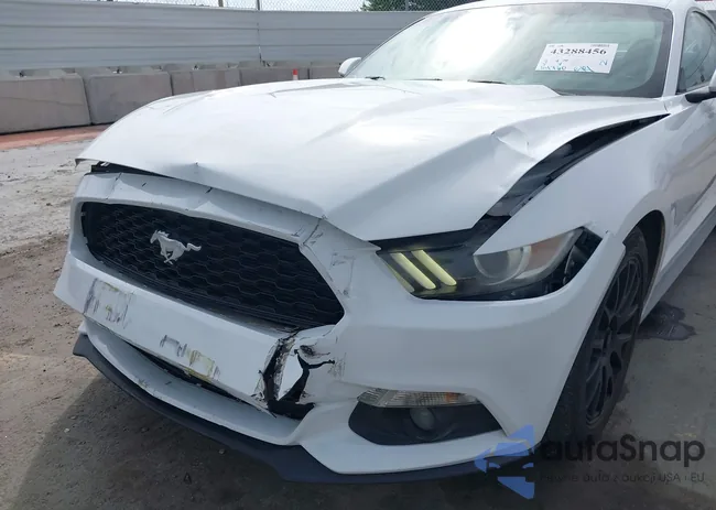 1FA6P8AM9F5372184: 43288456