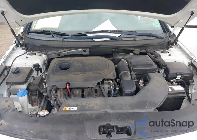 5NPE24AF5HH581648: 43288707