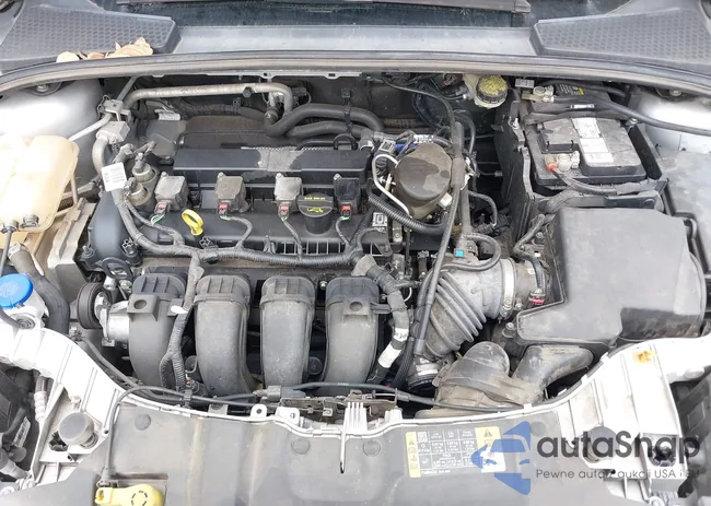 1FADP3F21EL320009: 43289953