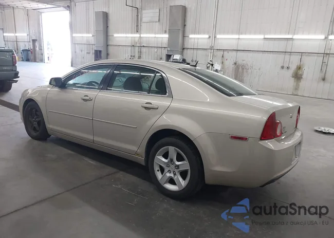 1G1ZB5EB3AF117524: 43290028