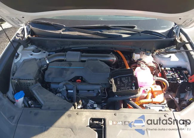 KM8JECD17RU192917: 43289618