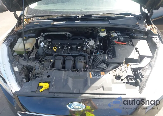 1FADP3F22JL262194: 43290797