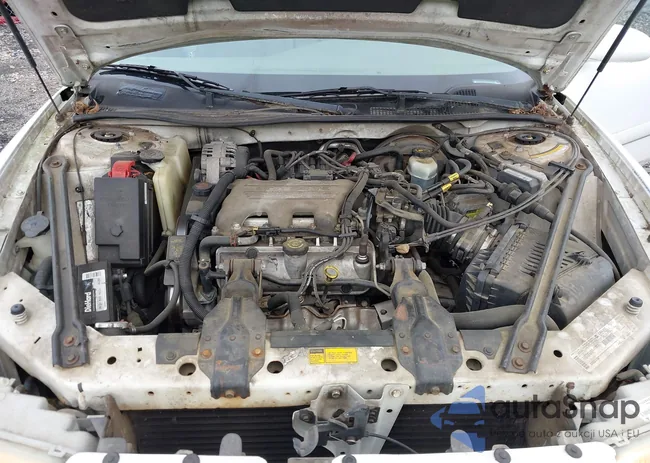 2G4WY52M6X1562947: 43290992