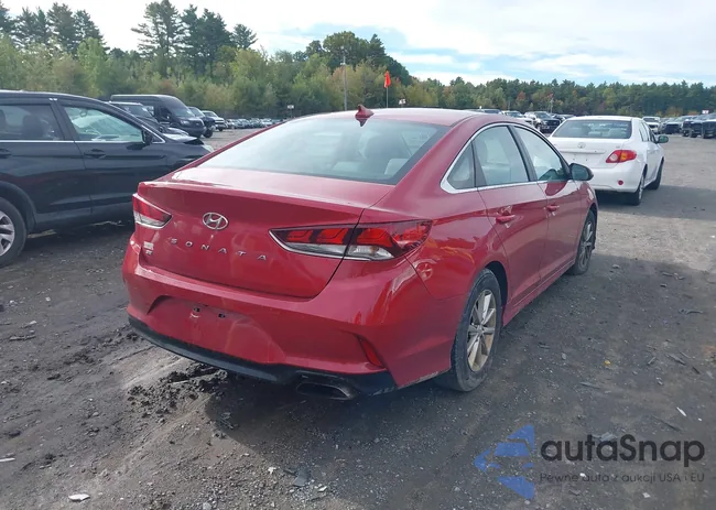 5NPE24AF1JH611296: 43290448