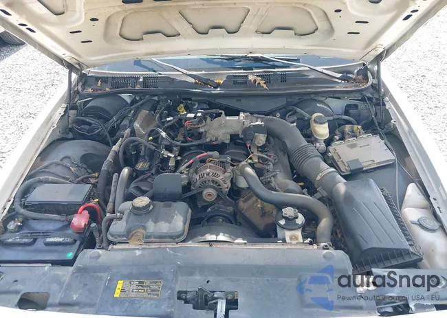 2FABP7BV4AX142382: 43290509