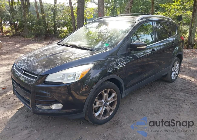 1FMCU9JX5EUD56425: 43291805