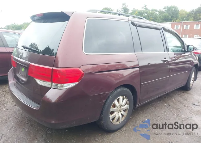 5FNRL38628B093819: 43291954