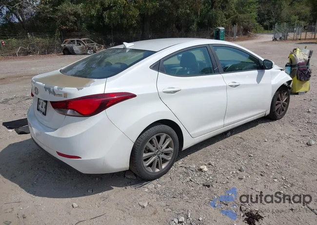 5NPDH4AE9GH732961: 43292324