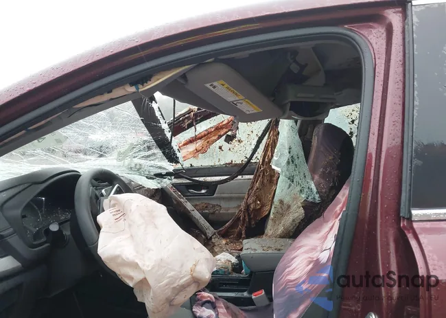 2HKRW6H37HH212531: 43293168