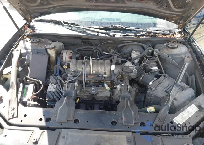 2G2WS522241343486: 43293213