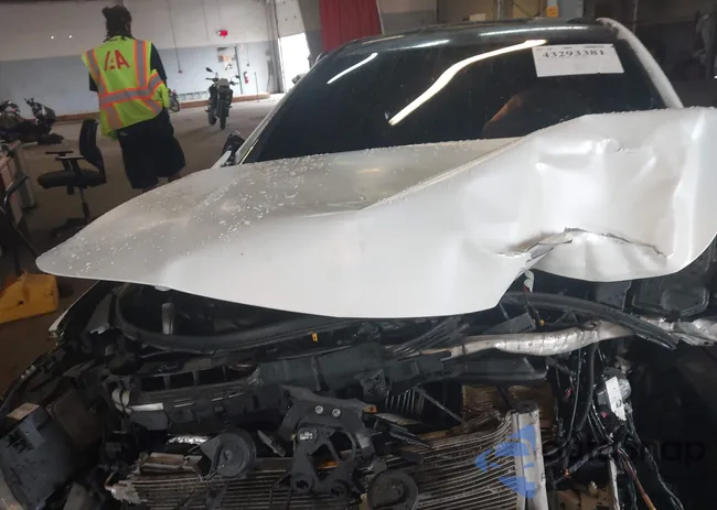 WDDSJ5CB9FN218569: 43293381