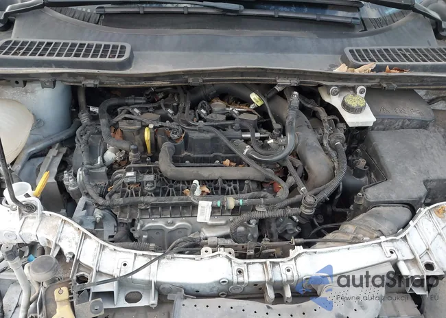 1FMCU0GD0KUC05903: 43292396