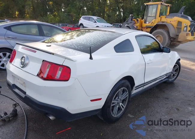 1ZVBP8AM3C5205465: 43292614