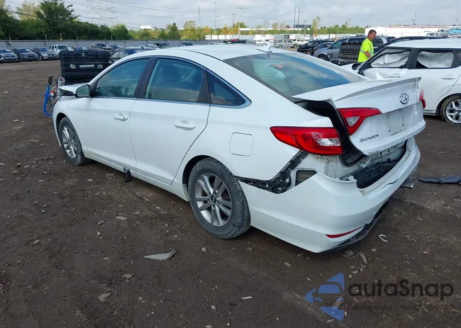 5NPE24AF1HH521947: 43292643