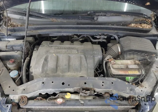 5FNRL38486B067236: 43292777