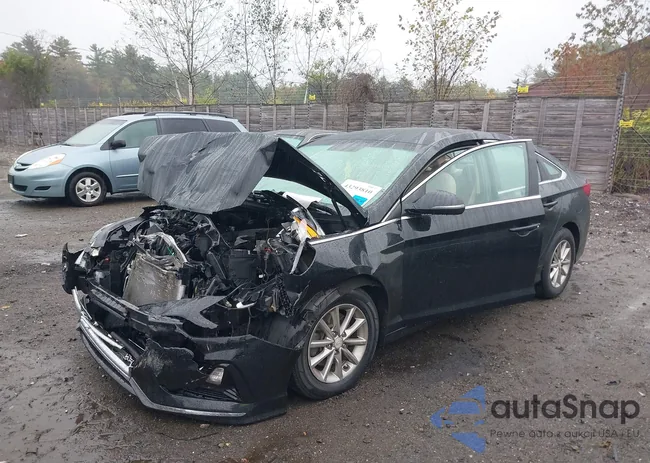 5NPE24AF1KH736753: 43293810