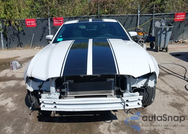 1ZVBP8AM5E5327151: 43294078