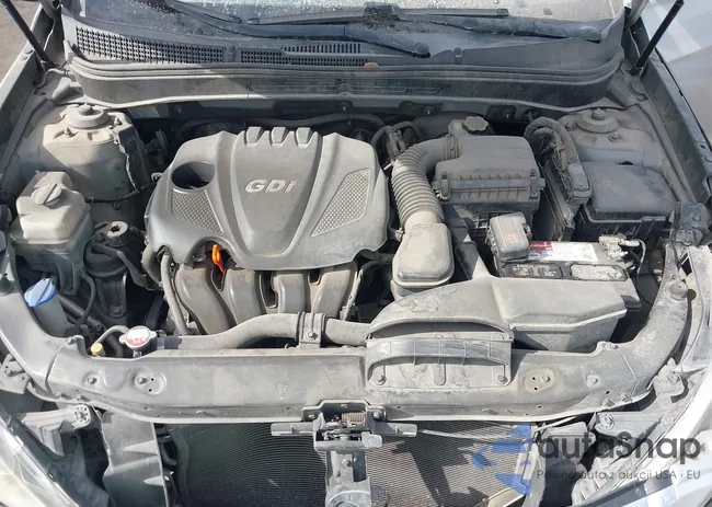 5NPEC4AC2BH081795: 43295237