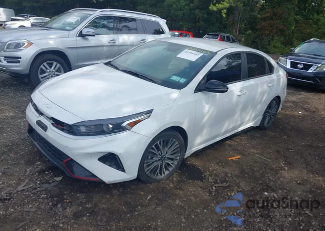 3KPF54AD0PE557853: 43294483