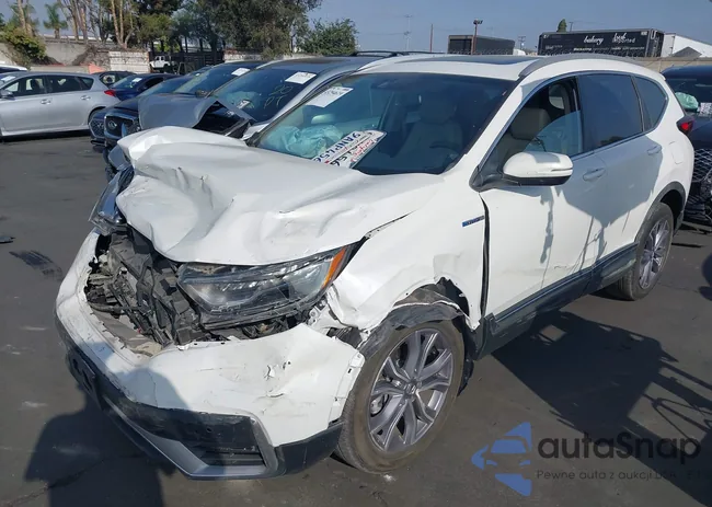 5J6RT6H97NL024302: 43294619