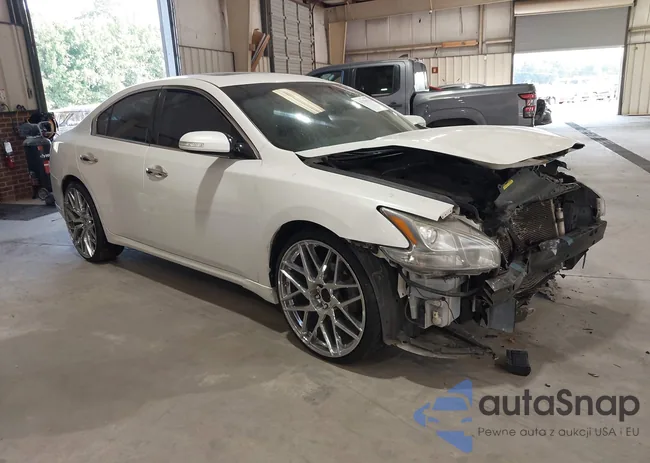 1N4AA5AP3DC819217: 43294735