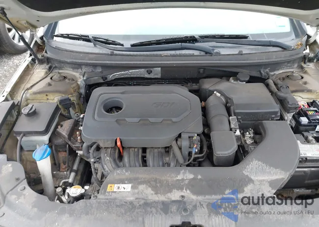 5NPE24AF3GH376196: 43295964