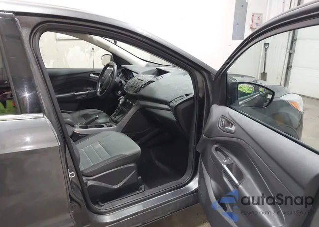 1FMCU9G97GUB74446: 43295997