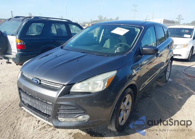 1FMCU0G79FUB87790: 43296237